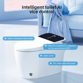 High Tech Standard Smart Intelligent Automatic WC with Heated Bidet Seat